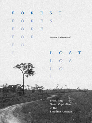 cover image of Forest Lost